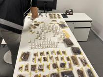 US museum head caught smuggling endemic species