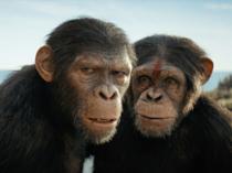 Kingdom of the Planet of the Apes reigns at the box office