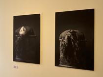 Vision Art Platform in London