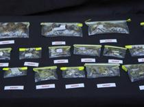 Türkiye’s biodiversity under spotlight after US professor arrested for smuggling