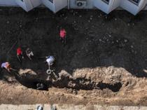 Fin whale skeleton being unearthed in southern Türkiye