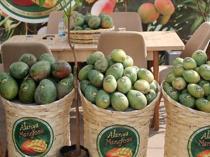 Alanya emerges as Türkiye’s tropical fruit hub