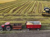 TARSİM pays out over $640 million in agricultural insurance claims