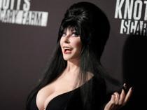 Elvira returns with Halloween cookbook