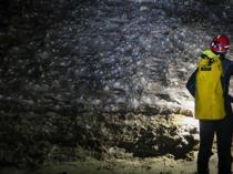 Giant spider web found in Greek-Albanian border cave