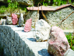 Montenegro womens problems revealed in Turkey
