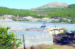 Kumluca: Greenhouse capital