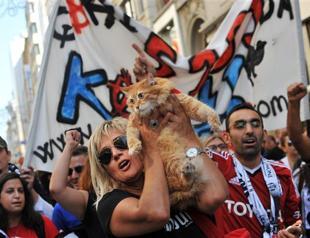 Thousands protest Turkey bill on stray animals
