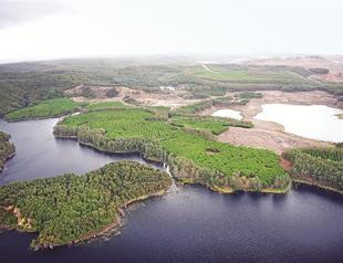 Campaign asks gov’t to cancel environment bill