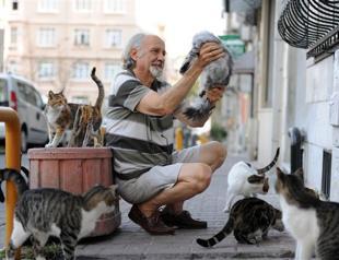 New draft law suggests jail time for animal abusers