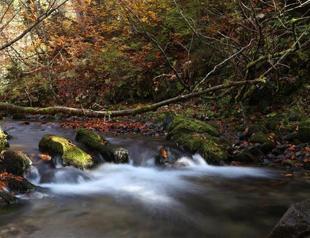 Top Turkish court suspends bill clearing the way for energy facilities in national parks