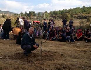 Ruling on power plant project in Soma olive grove leaked to company