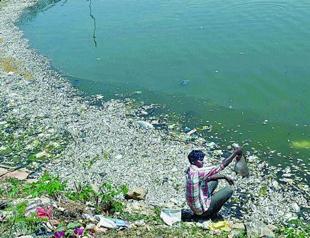 Environment behind nearly quarter of global deaths: WHO