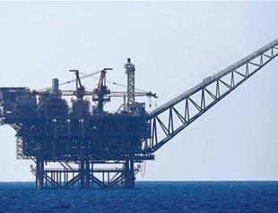 Israel views Turkey as major gas market, big economy: Energy company executive