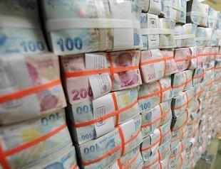 Turkish Treasury borrows over $1.4B through auctions