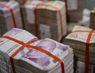 Treasury borrows $863M through auctions