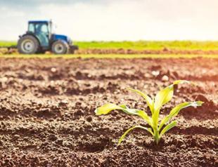 Food security at risk as drought frequency surges, says association head