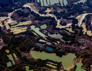 Illegal gold mining surges in Brazil