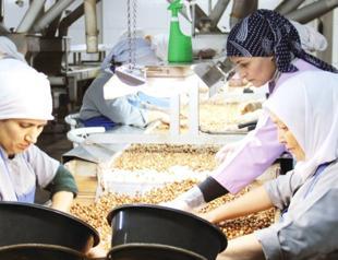 Jobless rate rises to 10 percent, says TÜİK