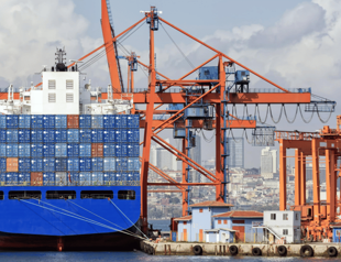 Exports from 45 provinces rise in January