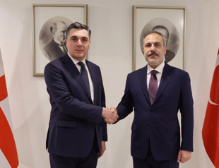 FM highlights strategic partnership with Georgia