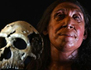 Researchers unveil 75,000-year-old Neanderthal face