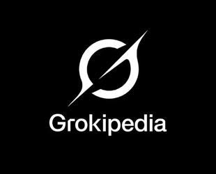 Musk launches Grokipedia to rival left-biased Wikipedia
