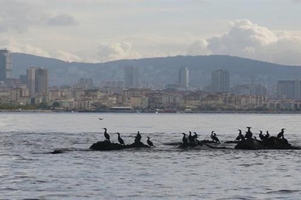 Istanbul’s lost island may come to light