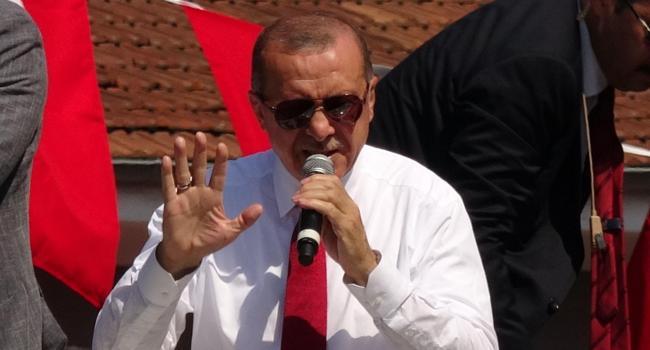 Credit rating agencies are fraudsters, Turkish President Erdoğan says
