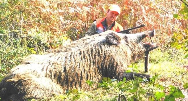 Turkish hunter’s pose with massive boar divides social media users
