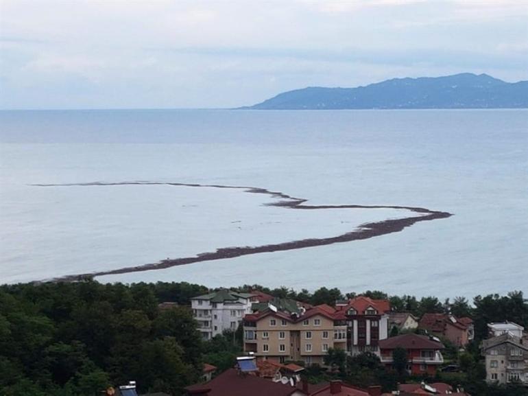 66 houses, 264 shops damaged in Turkish flood as officials visit Black Sea province