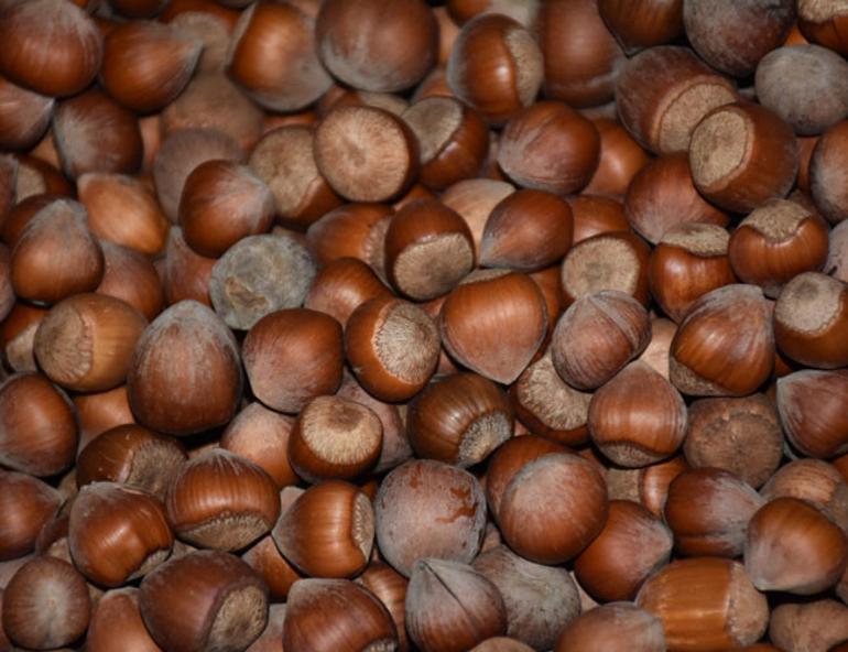 Turkey’s hazelnut exports in decline