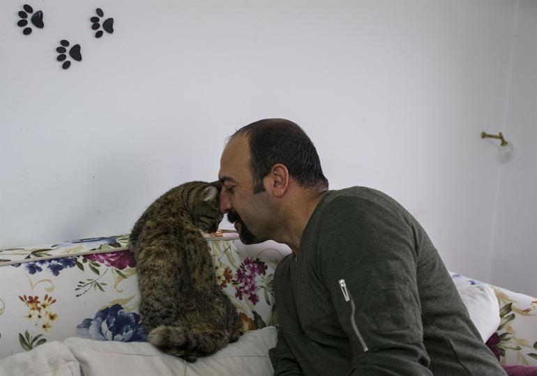 Cat without forelegs happy in her home