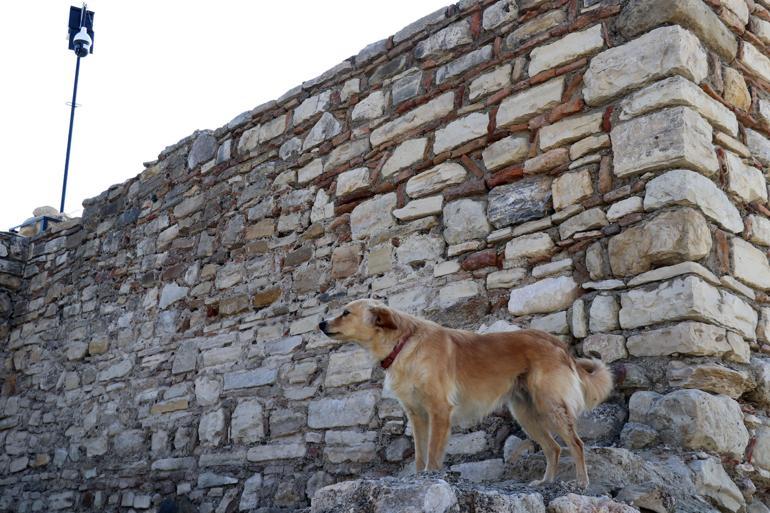 Paw prints from eighth century found in ancient castle in Turkey’s west