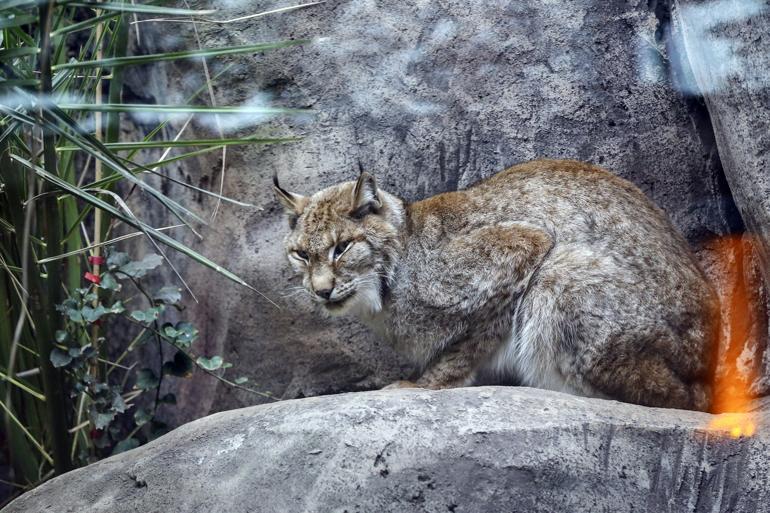 Istanbul to entertain children during holiday