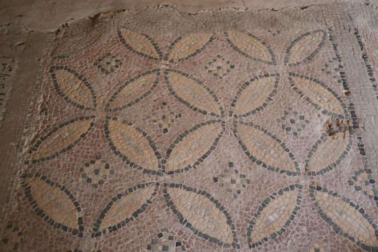 Zeugma-like mosaics found in Sinop