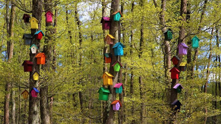 Wildlife park draws visitors despite pandemic