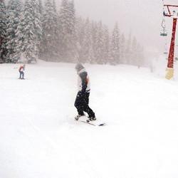 /images/100/0x0/55ea95b0f018fbb8f8898b37