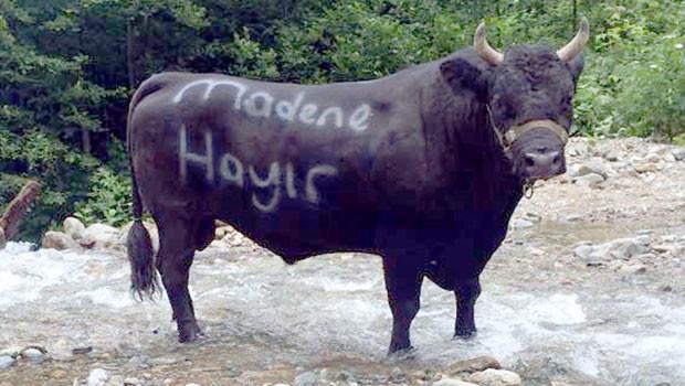 Artvinde Cerattepe nöbeti sürüyor