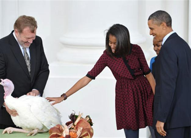 Obama pardons lucky turkeys ahead of Thanksgiving