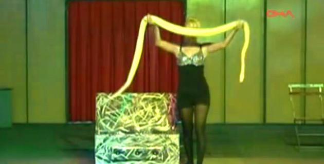 Circus python hibernates as act tours cold Anatolia