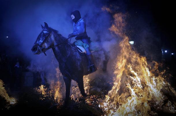 Spanish pets head to church for blessing