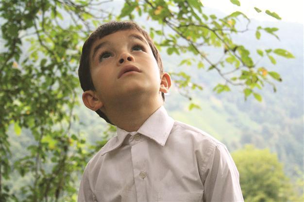 New support projects to be made for film sector