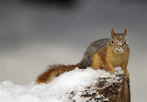 Winter cold snap kills 48 in eastern Europe