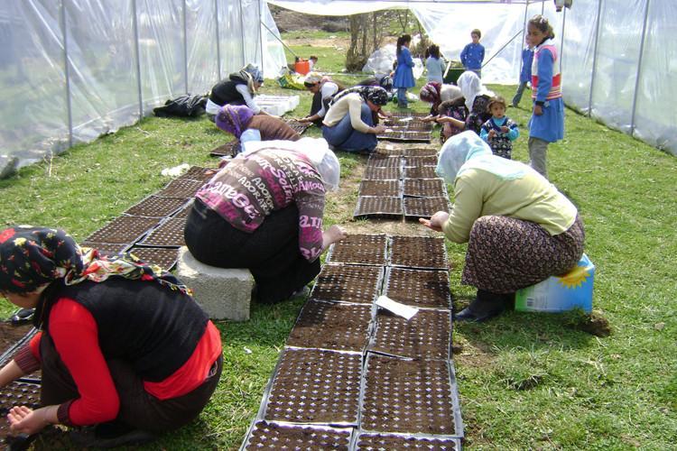 Turkeys Changemakers: Making change in Turkeys rural development