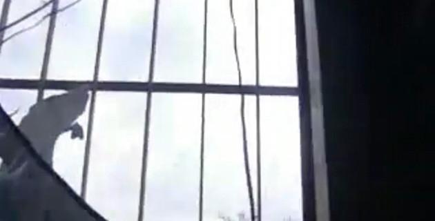 Syrian army killed 50 in Homs: opposition