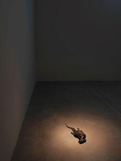 Exhibition shows that criticism is ‘what I love’