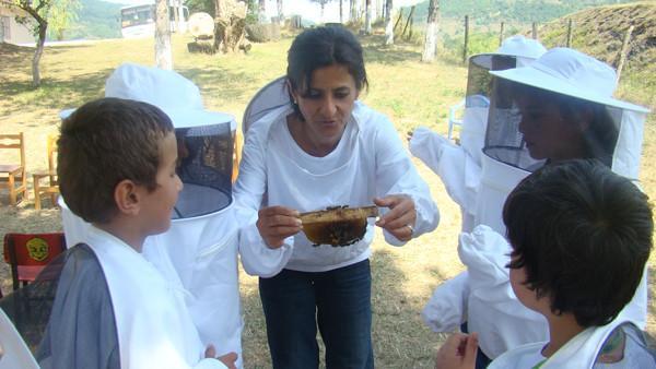 Turkey’s Changemakers: ‘Bee-like’ Entrepreneurs are On Their Way