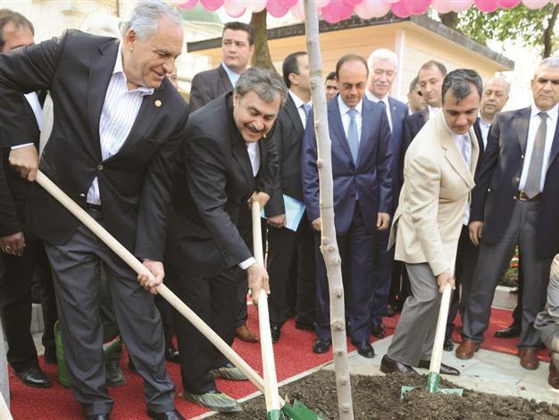 Istanbul will flourish with 100,000 redbuds