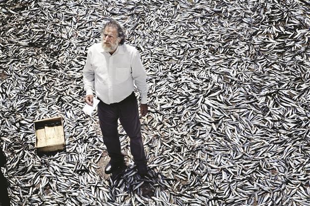 Film festival to feature ‘Terraferma’